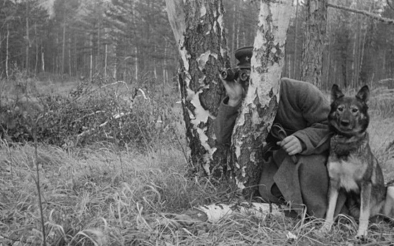 5 мифов о начале Великой отечественной от военного историка Алексея Исаева