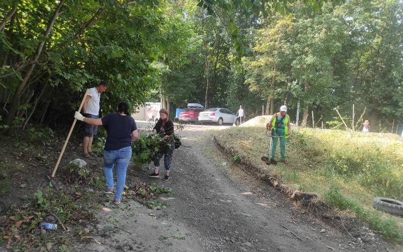 Продолжаются работы по уборке урочища «Оскочное» города Белгорода