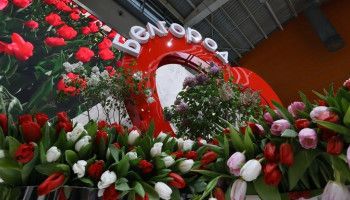 На Международной выставке-форуме «Россия» сегодня прошел День Белгородской области «С неё начинается Родина»