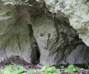 Карпова пустынь. Новооскольский городской округ