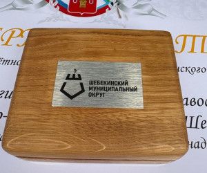 В Шебекино отметили День добровольца России