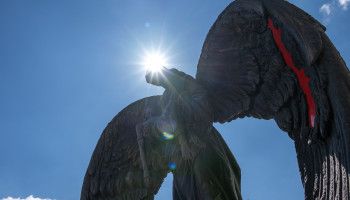 Память, которая не меркнет: в Белгороде почтили жертв трагедии на улице Щорса