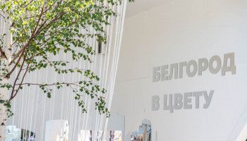 Фестиваль «Белгород в цвету» торжественно открыли в Центральном парке