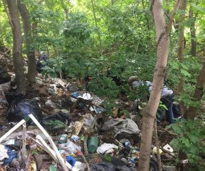 Продолжаются работы по уборке урочища «Оскочное» города Белгорода
