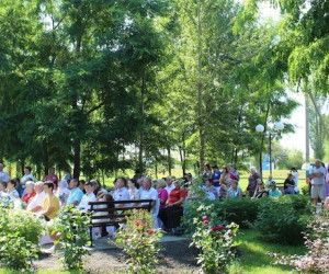 День семьи, любви и верности отметили в Новом Осколе.