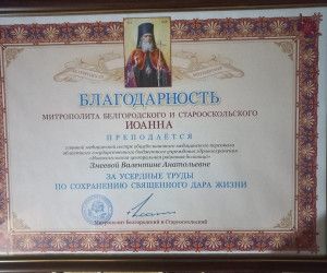 День медицинского работника отметили новооскольцы