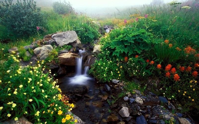 Вода живая